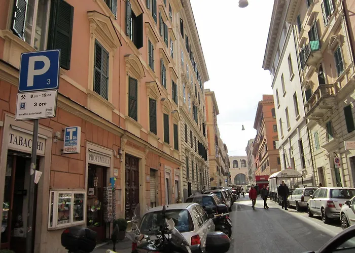 Evergreen Roma
